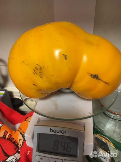 Семена томатов