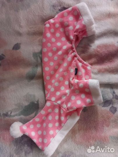 Одежда для маленьких собак