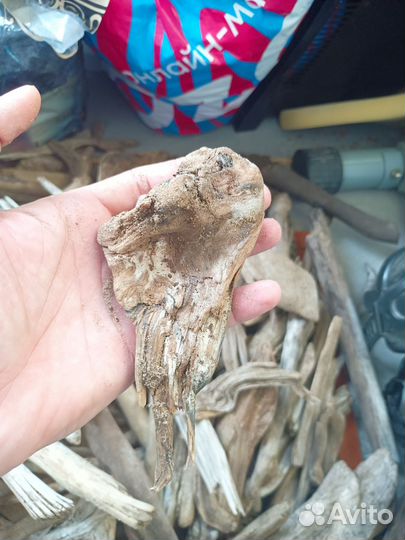 Коряжки продам