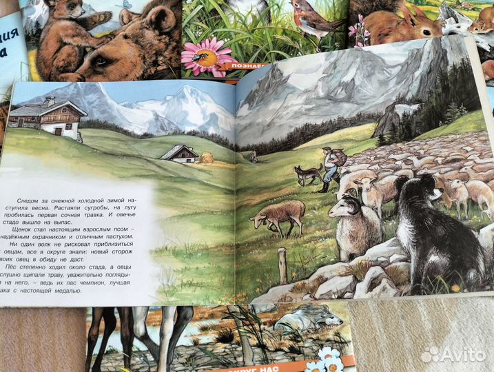 Книги о животных Гуриной Познаем мир вокруг нас