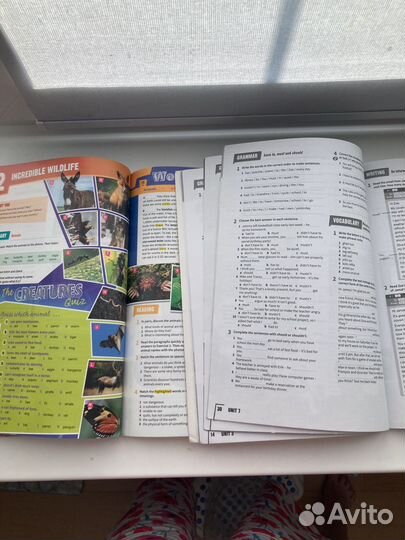 Учебник рабочая тетрадь Prepare B1