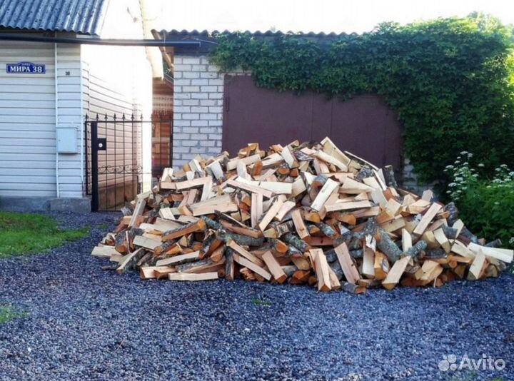 Дрова береза