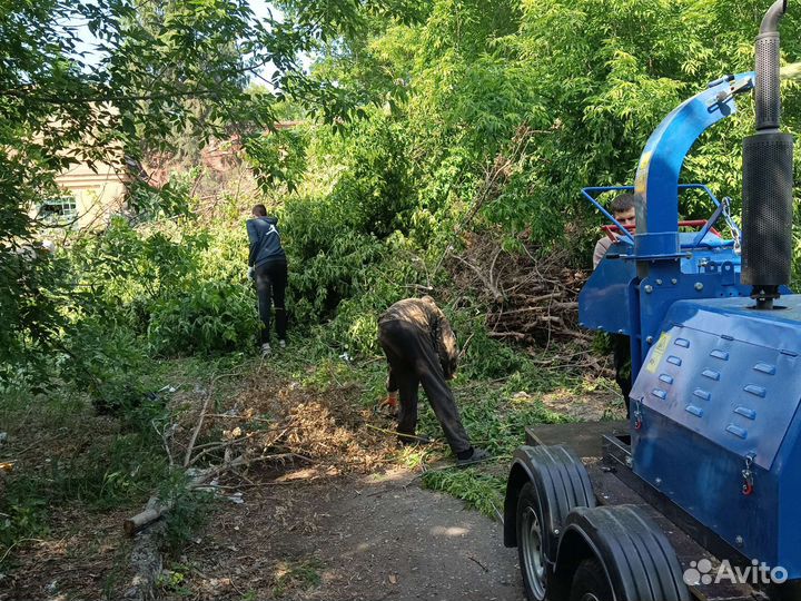Аренда дробилки, измельчитель веток и деревьев