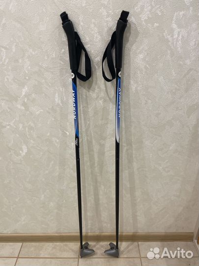 Лыжные палки