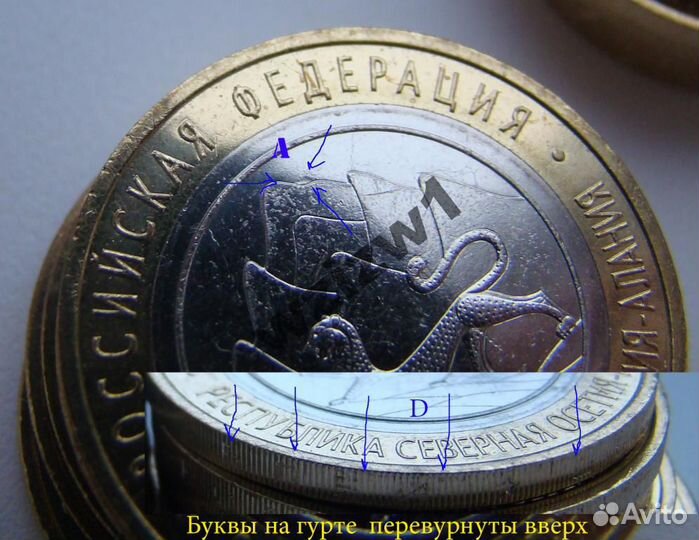 Алания гурт антилавина риф