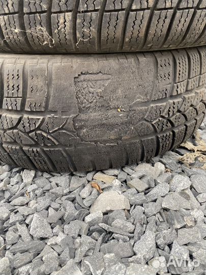 Tigar Winter 1 185/60 R15