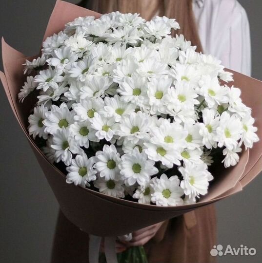 Хризантема Букет хризантем Доставка