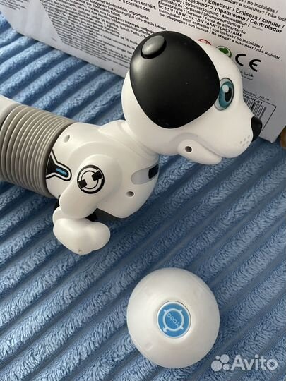 Робот собака