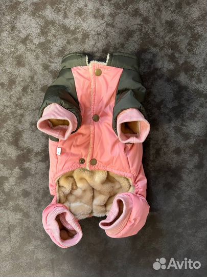 Зимний костюм для собаки