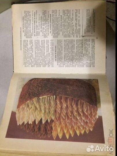 Кулинария супер книга для гурманов