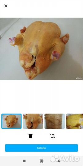 Домашние курочки