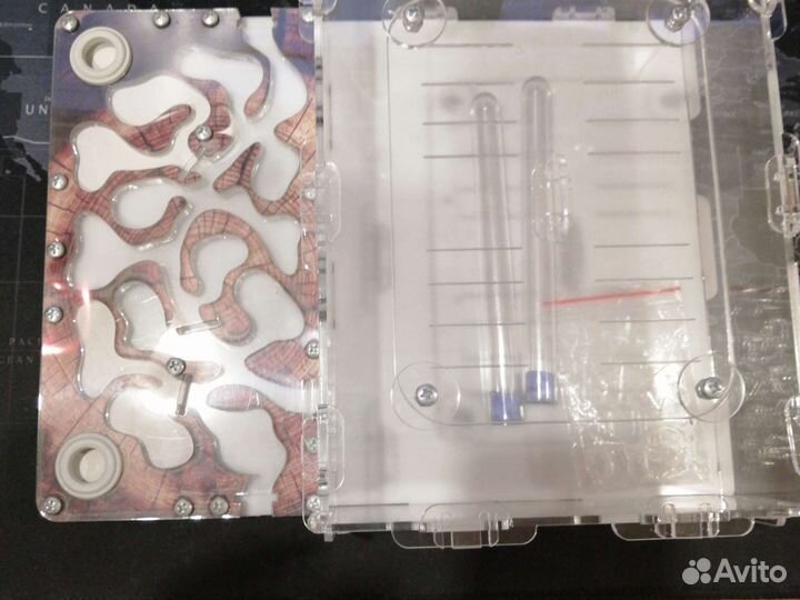 Формикарий