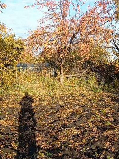 Дача 10 м² на участке 6 сот.