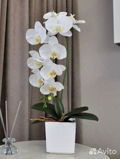 Композиция с орхидеей из силикона