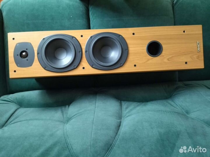 Профессиональная акустическая система