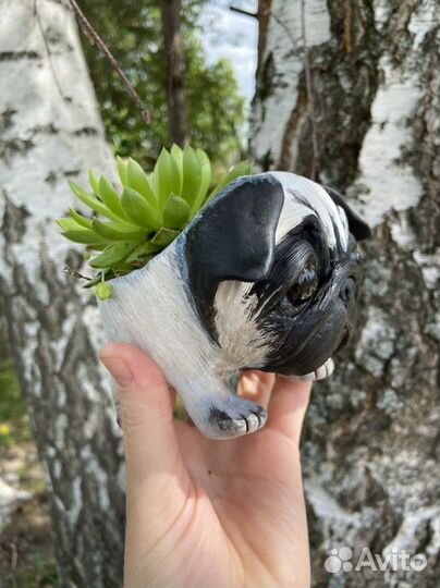 Мопс кашпо