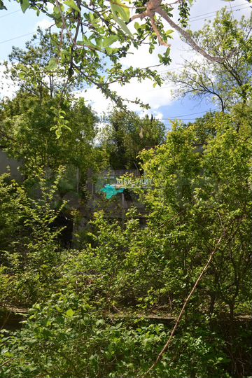 Участок 2 сот. (ИЖС)