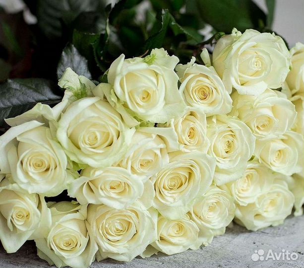 Длинные высокие розы 110 150 160 180 200 см