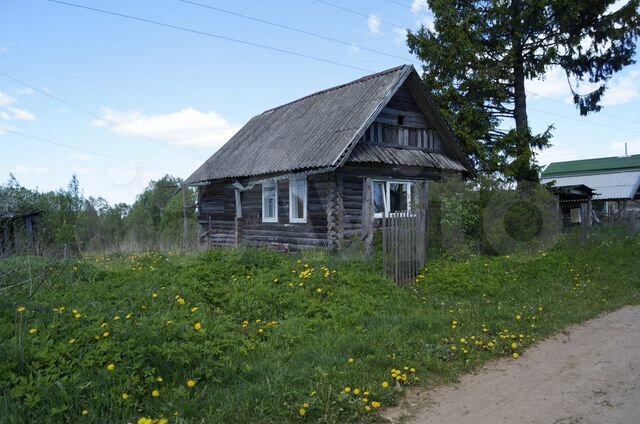 Псковская область деревня Дедовичи