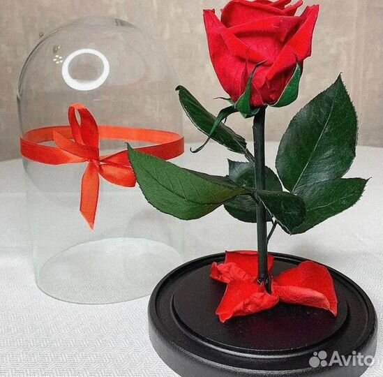Вечная роза в колбе