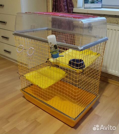 Клетки для грызунов (хомяков, крыс, шиншил, морски