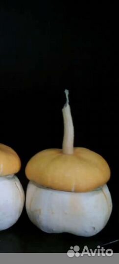 Семена декоративной тыквы