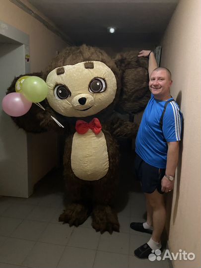 Чебурашка на ваш праздник