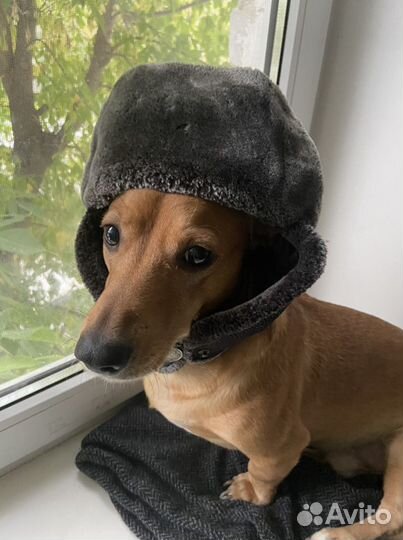 Шапка зимняя на мальчика