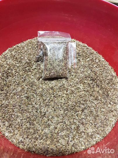 Семена укропа