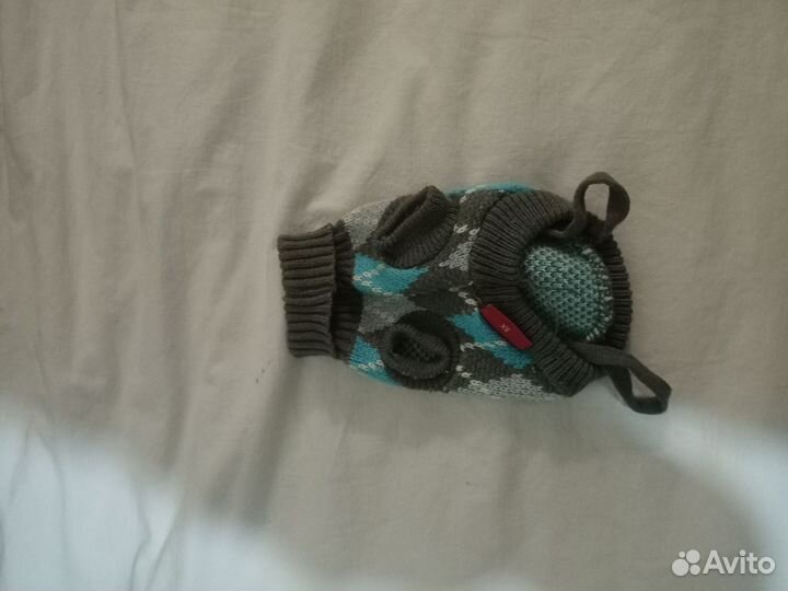 Собачья одежда