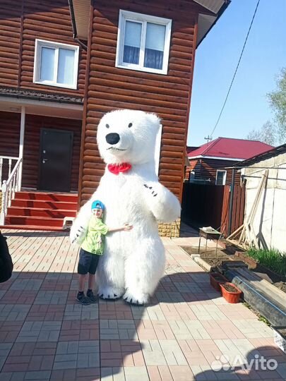 Кинг конг, белый мишка поздравление