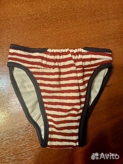 Трусы для собак гигиенические