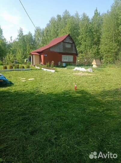 Покос травы Сварщик Вспашка земли мотоблоком