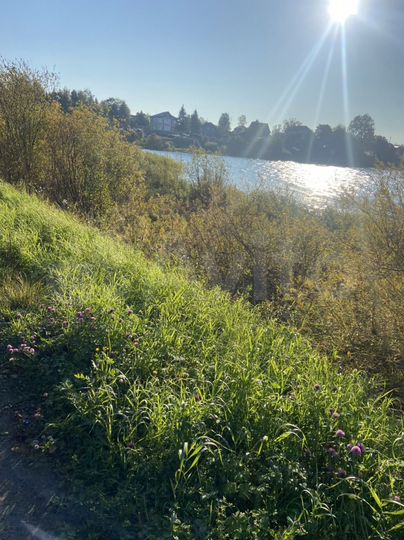 Участок 13 сот. (ИЖС)