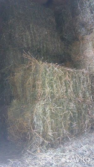 Сено с доставкой на дом