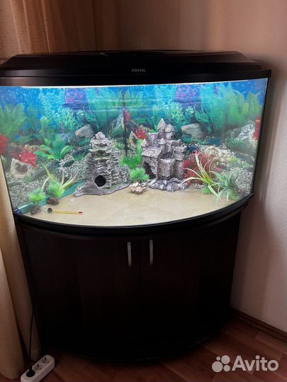 Аквариум Biodesign угловой с тумбой, 200 л (б/у)