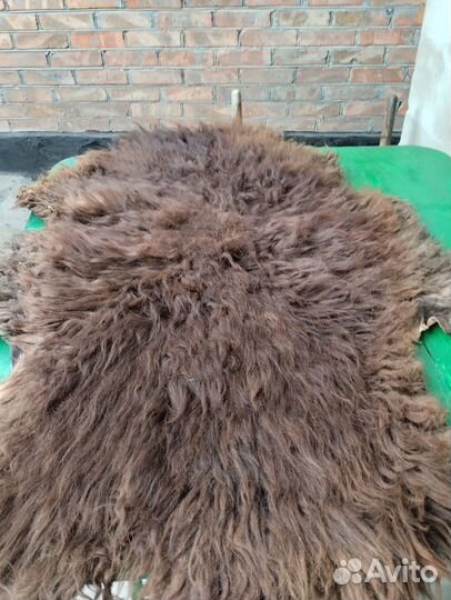 Овечья шкура натуральная