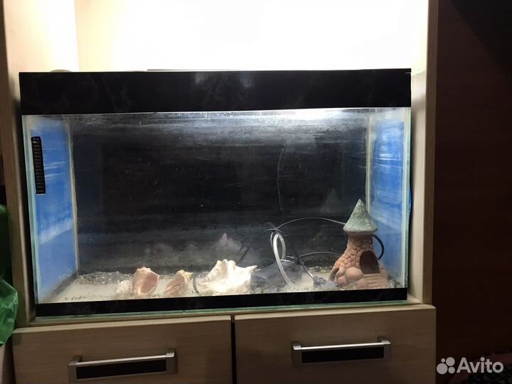 Аквариум