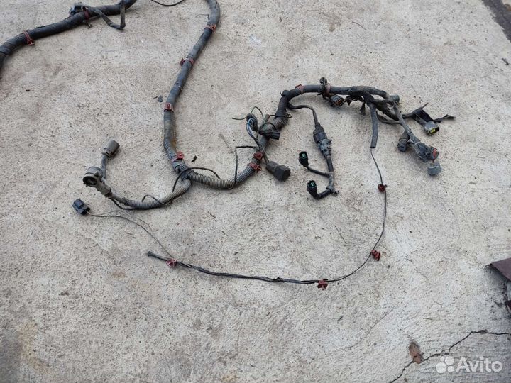 Hyundai Accent проводка подкапотная