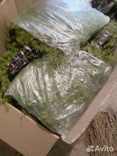 Набор веников и трав для бани