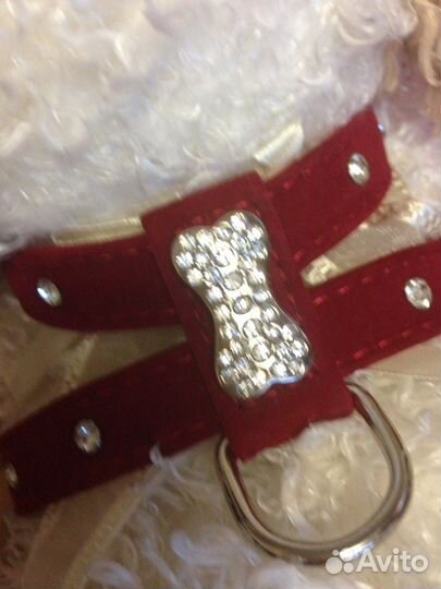 Шлейка со стразами