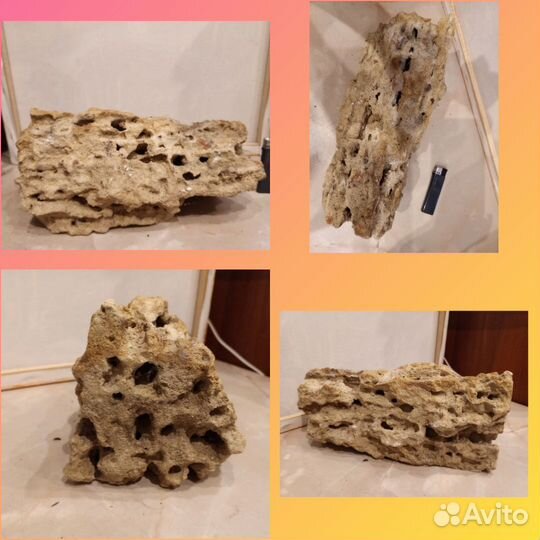 Аквариум:ракушки,камни,коряги,обогреватель