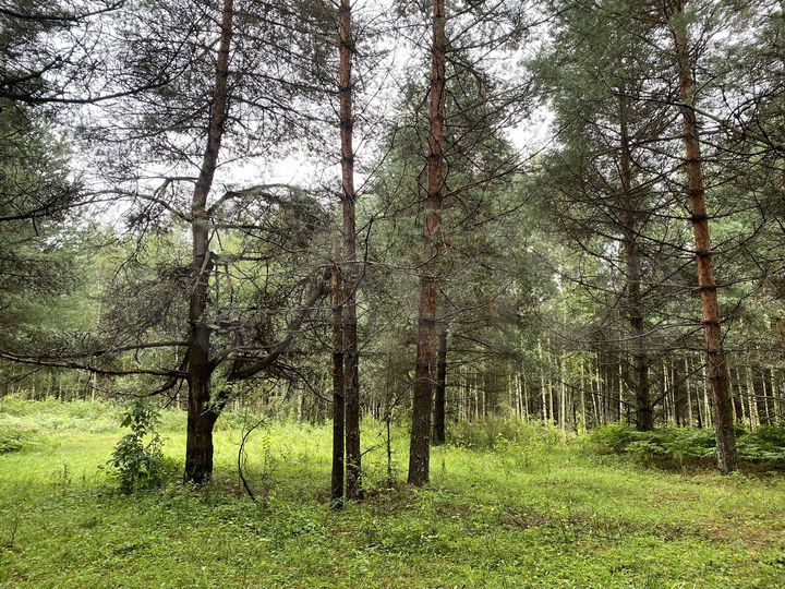 Участок 1,4 га (СНТ, ДНП)