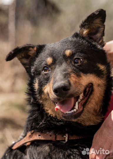 Кира для души