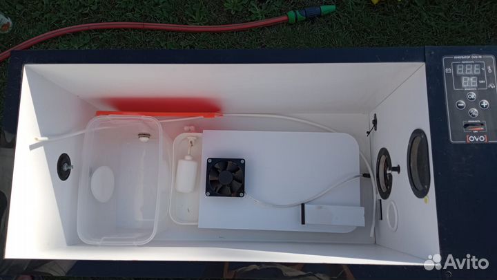 Инкубатор для яиц