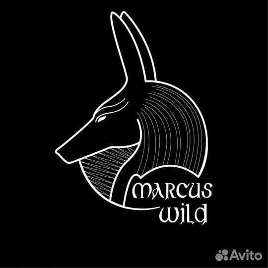 Текст для песни