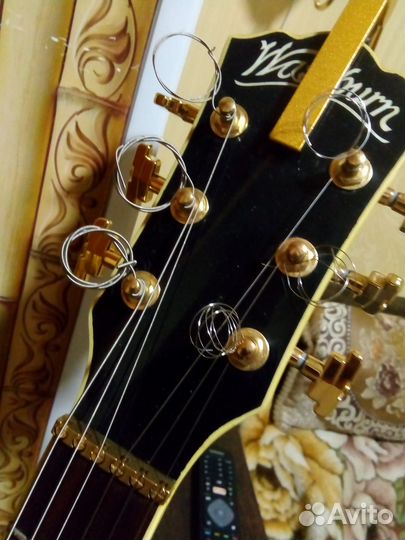 Электро-акустика, washburn