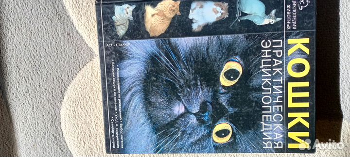 Книга Практическая энциклопедия. Кошки