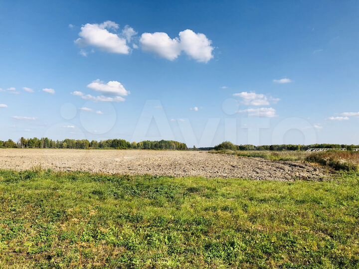 Участок 23 га (СНТ, ДНП)