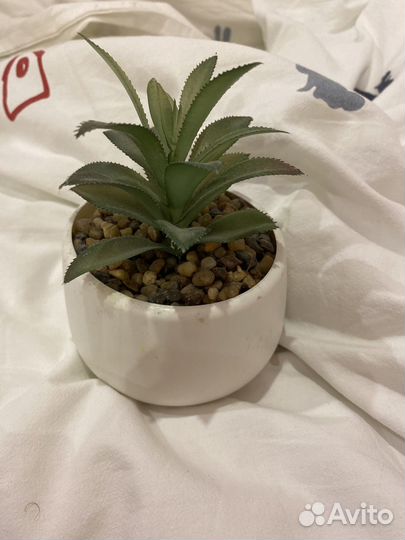 Искусственное растение